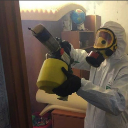 Уничтожение клопов в квартире. Миасс